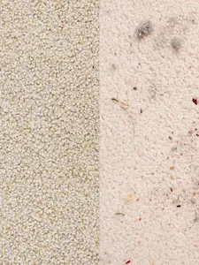 rug cleaning in san antonio