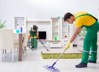 Professional House Cleaning and Why You Need It