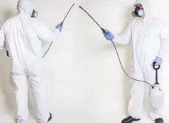Is Fogging the Best Way to Disinfect Your Office