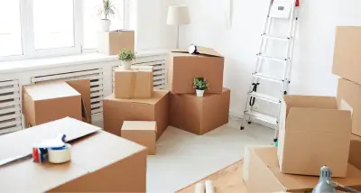 professional move in/out cleaning Texas