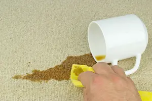 move-out-cleaning-services