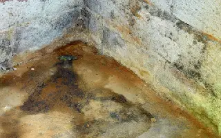 Why Water Damage Restoration Shouldn’t Be Delayed in New Braunfels
