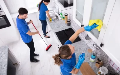 How to Hire The Best Professional House Cleaning Services